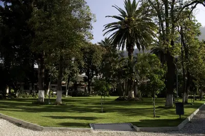 Jardín al aire libre en Hotel Los Olivos Spa