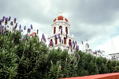 Jardín al aire libre en Hotel Colonial