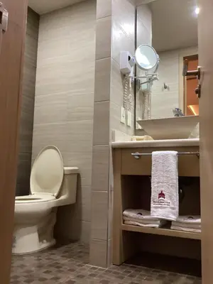 Un baño de Plaza Poblana