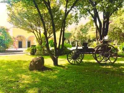 Plano de Casa de las Luciérnagas