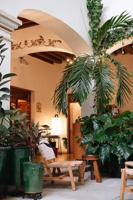 Jardín al aire libre en Los Pilares Hotel