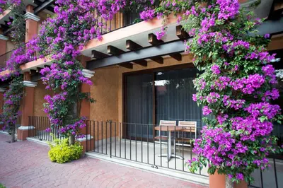 Jardín al aire libre en Hosteria Las Quintas Hotel Restaurante Bar