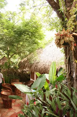 Jardín al aire libre en Cabañas Biuzaa