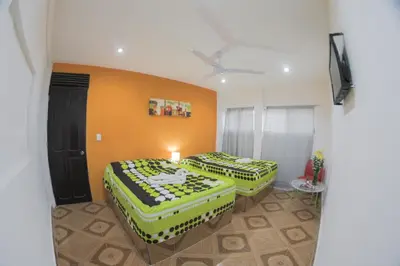 Cama o camas de una habitación en Hotel San Carlos