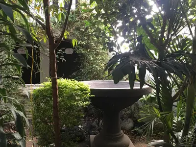 Jardín al aire libre en Hotel Calli Quetzalcoatl
