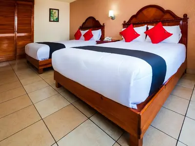 Cama o camas de una habitación en Hotel De La Loma