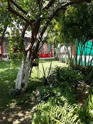 Jardín al aire libre en Hotel Quinta Paraiso