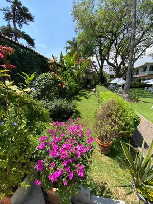 Jardín al aire libre en Hotel Posada Quinta Las Flores