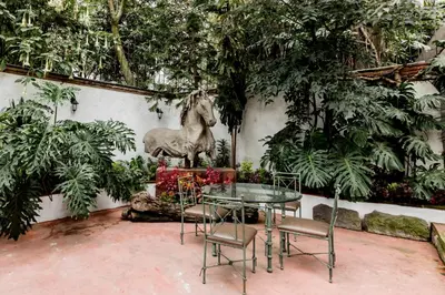Jardín al aire libre en Los Camilos