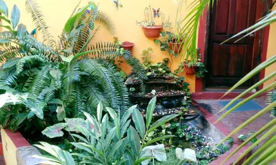 Jardín al aire libre en Hotel La Cabaña