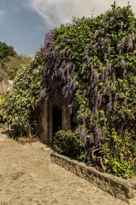 Jardín al aire libre en Hacienda San Gabriel de las Palmas