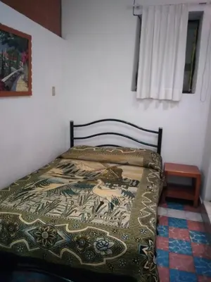 Cama o camas de una habitación en Hotel Las Palomas
