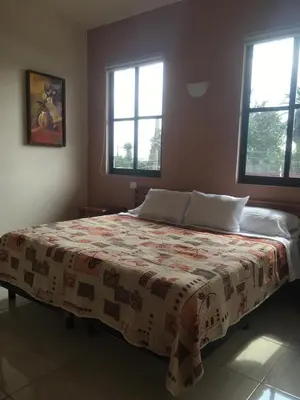 Cama o camas de una habitación en Hotel Posada San Antonio Coatepec