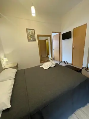 Cama o camas de una habitación en Hotel Palace Puebla