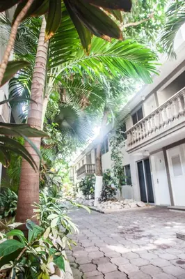 Jardín al aire libre en Suites Lafragua