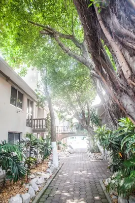 Jardín al aire libre en Suites Lafragua