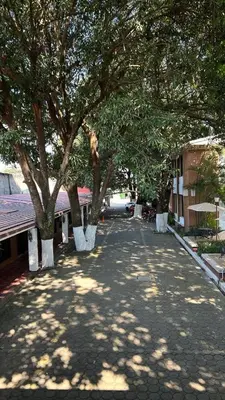 El barrio de los alrededores o un barrio cerca de este hotel
