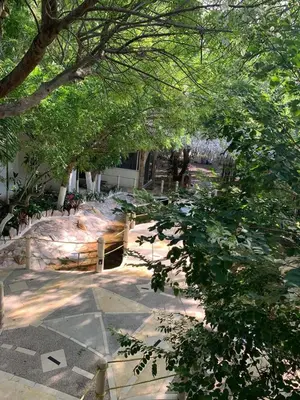 Jardín al aire libre en Bon Jesus Hotel