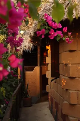 Jardín al aire libre en LA LOMA LINDA, Bungalows, Yoga and Feldenkrais, STARLINK INTERNET