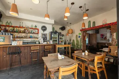 El salón o zona de bar de Selina Oaxaca