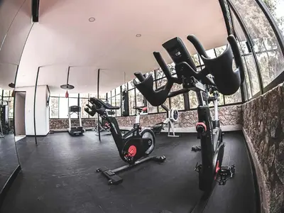 Gimnasio o instalaciones de fitness de Hotel Boutique Camino Del Bosque