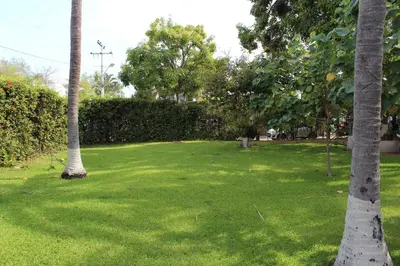Jardín al aire libre en Hotel Albatros