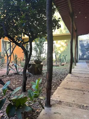 Jardín al aire libre en Tu casa Oaxaca...