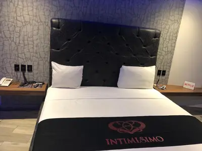 Cama o camas de una habitación en Intimisimo Suites Autohotel Centro Only Adult