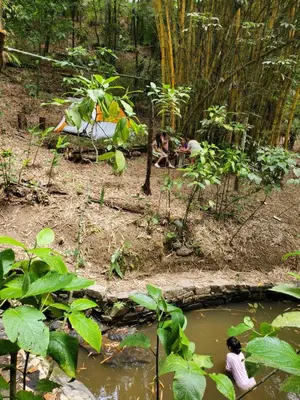 Jardín al aire libre en Hospedaje Totalmanik