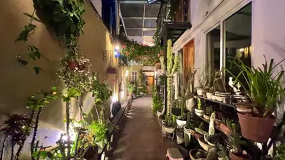 Jardín al aire libre en Hostal Mago