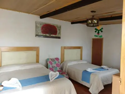Cama o camas de una habitación en CABAÑA tipo habitación con PALAPA y Asador Planta Alta en Zacatlán