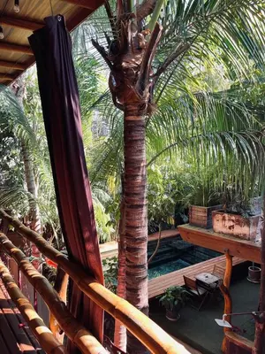 Plano de Casa Frutas y Verduras