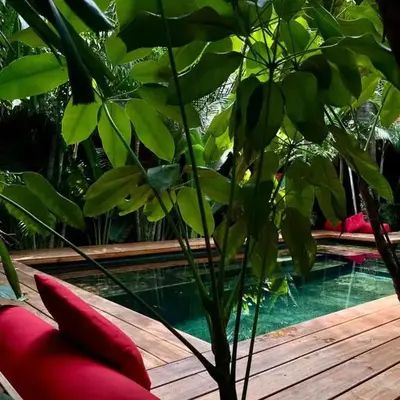 Casa Frutas y Verduras