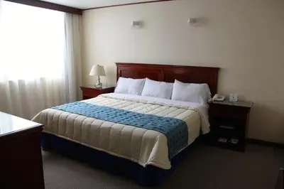 Cama o camas de una habitación en Hotel Tehuacan Plaza