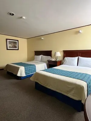 Cama o camas de una habitación en Hotel Tehuacan Plaza