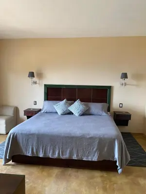 Cama o camas de una habitación en HOTEL ALTAVISTA