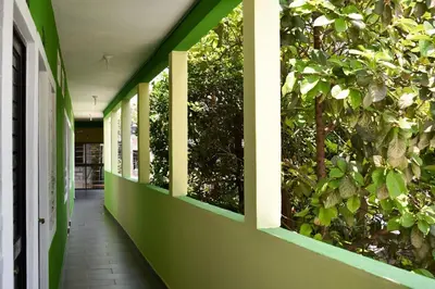 Jardín al aire libre en HOTEL LOS PINOS CENTRO