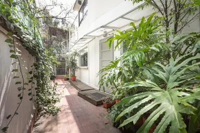 Jardín al aire libre en Loft Contemporaneo a 50m de la Plaza Principal de Coyoacán