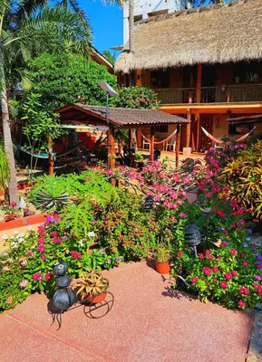 Jardín al aire libre en HOTELITO SWISS OASIS, Playa Zicatela - Adults Only - Kitchen - Cocina