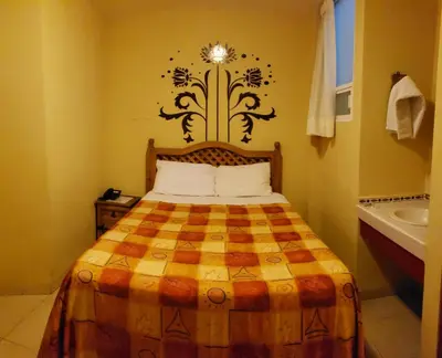 Cama o camas de una habitación en Hotel Centro Historico