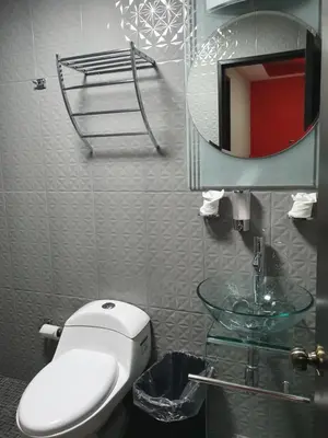 Un baño de H-FG PLUS