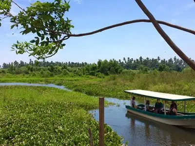 Paisaje cerca de este hotel