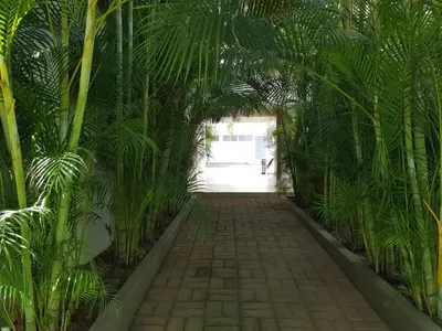 Jardín al aire libre en Hotel Verdi