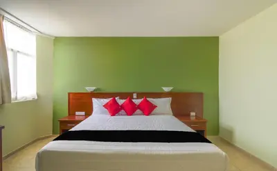 Cama o camas de una habitación en Hotel San Pablo
