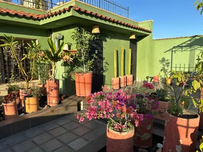 Jardín al aire libre en Hostal Nordés