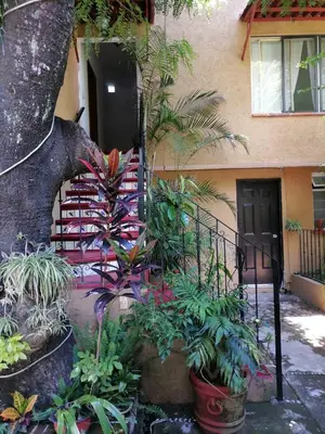Jardín al aire libre en Posada Bugambilias