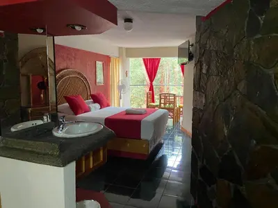 Cama o camas de una habitación en Hotel Alameda Orizaba