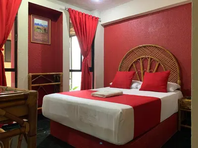 Cama o camas de una habitación en Hotel Alameda Orizaba