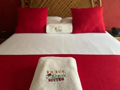 Cama o camas de una habitación en Hotel Alameda Orizaba
