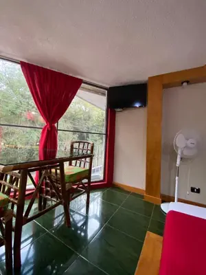 Una televisión o centro de entretenimiento en Hotel Alameda Orizaba